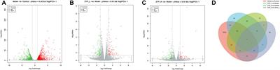 The zhuyu pill relieves rat cholestasis by regulating the mRNA expression of lipid and bile metabolism associated genes